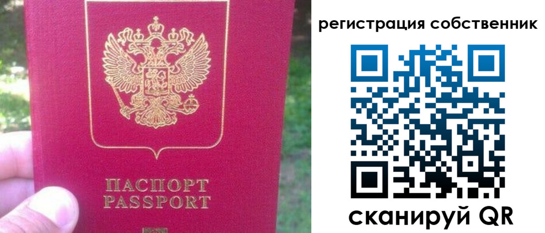 временная регистрация 2025 в Полярном